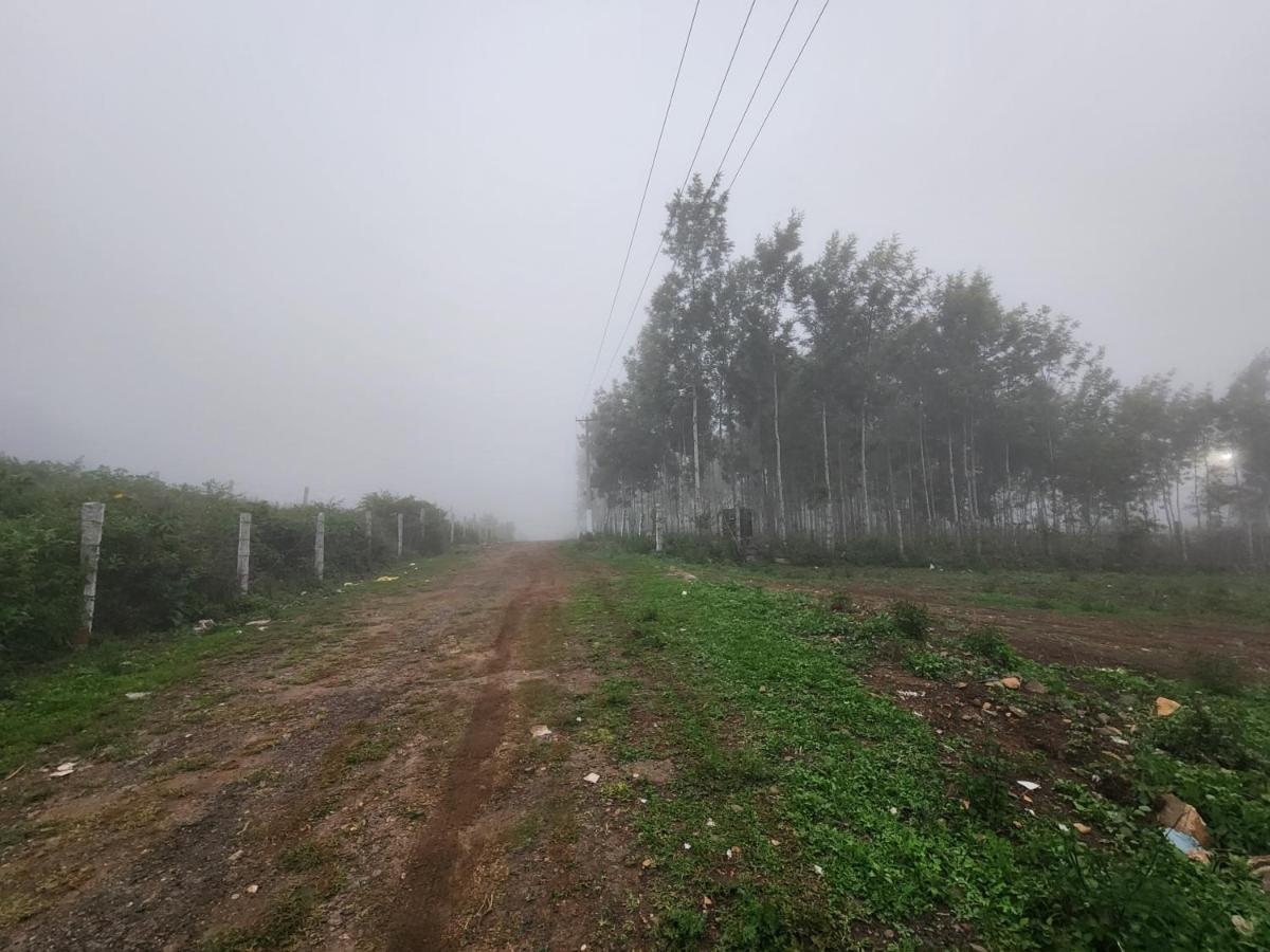 Coffee Valley सहारा *